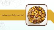 خرید آجیل مخلوط مخصوص نوروز؛ ترکیبی خوش‌ طعم و محبوب برای پذیرایی عید