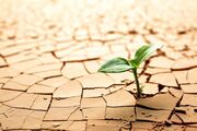 بیابان‌زایی تهدیدی برای امنیت غذایی و منابع آب کشور است