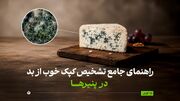 راهنمای جامع تشخیص کپک خوب از بد در پنیرها