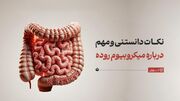 ۸ نکته درباره میکروبیوم روده و حفظ سلامت آن