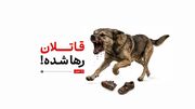 قاتلان رها شده!