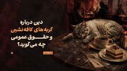 گربه‌های کافه‌نشین و حقوق عمومی؛ دین چه می‌گوید؟