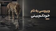 ویروسی به نام خودکم‌بینی