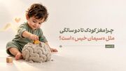 چرا مغز کودک تا دو سالگی مثل «سیمان خیس» است؟