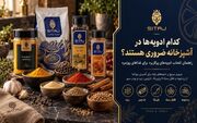 کدام ادویه‌ها در آشپزخانه ضروری هستند؟ راهنمای انتخاب ادویه‌های پرکاربرد برای غذاهای روزمره