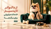 گران‌ترین پیاده‌روی تهران!