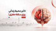 ۷ عامل محیطی پنهانِ افزایش‌دهنده خطر سکته مغزی