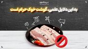 به این دلایل علمی، گوشت خوک حرام است