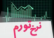 نرخ تورم سالانه در دی ماه ۳۲ درصد شد