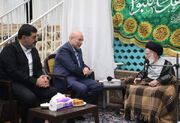 دیدار رئیس مجلس شورای اسلامی با آیت الله شبیری زنجانی