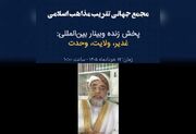 حضرت علی(ع) یکی از مهم‌ترین محورهای وحدت اسلامی است