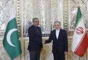 وزیر کشور پاکستان با عراقچی رایزنی کرد