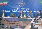 گلستان سهم قابل توجهی در تولید محصولات اساسی کشور دارد