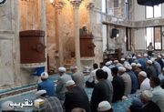 محبت به اهل بیت علیهم السلام ریشه در آموزه های اسلامی دارد