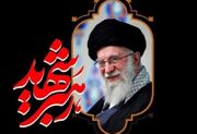 جزئیات برنامه‌ریزی گسترده برای بدرقه رهبر شهید در استان تهران تشریح شد