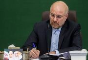 قالیباف درگذشت مادر شهیدان «آدمی» را تسلیت گفت