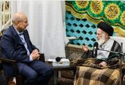 رئیس مجلس ارتحال آیت‌الله شبیری زنجانی را تسلیت گفت
