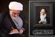 آیت‌الله العظمی شبیری زنجانی شخصیتی ممتاز در سلسله فقهای محقق شیعه بودند