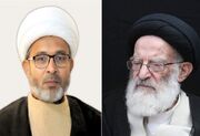 رئیس دانشکده الهیات دانشگاه علیگر هند ارتحال آیت‌الله شبیری زنجانی(ره) را تسلیت گفت