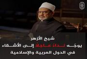 شیخ الازهر خواستار توقف فوری و فراگیر جنگ و درگیری در کشورهای عربی و اسلامی شد