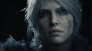 سی‌دی ‌پراجکت میلی به توسعه اکسپنشن برای سه‌گانه جدید The Witcher ندارد