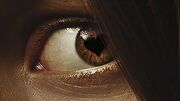 فروش جهانی فیلم Obsession از ۲۲۵.۵ میلیون دلار عبور کرد