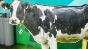سازندگان Meccha Chameleon درباره محصولات تقلبی و صفحات جعلی هشدار دادند