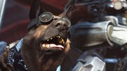 از تیم توسعه Fallout: New Vegas تنها ۱۶ نفر از تعدیل‌ها جان به‌‌در بردند