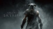 اشتباه در نام کاربری بازی Skyrim مردی بی‌گناه را ۱۸ ماه راهی زندان کرد
