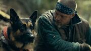 برد پیت: همکاری با یک سگ در Heart of the Beast تجربه‌ای تاثیرگذار بود