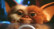 اکران فیلم‌های Gremlins 3 و Dynamic Duo با تاخیر مواجه شده است