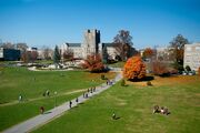 More than 80 protesters arrested at Virginia Tech, school says