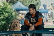 Review | ‘Arthur the King,’ with Mark Wahlberg and a cute dog, is a royal letdown