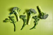 Advice | You asked: What’s the difference between broccoli and broccolini?