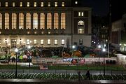 Columbia University senate to examine administration amid campus protests