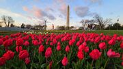 D.C.-area forecast: Lots of shower chances this week and typical temperatures