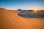 Dunes aren’t just big piles of sand. Here’s why Earth needs them.