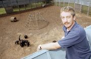 Frans de Waal, who explored empathy among apes, dies at 75