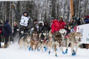 Iditarod musher penalized after ‘not sufficiently’ gutting moose