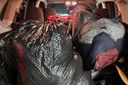 Foster youth in Md. use trash bags to move, advocates say. A bill would change that.