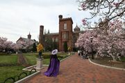 Hey, cherry blossoms! You’re not the only beautiful trees in D.C.