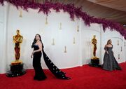 Perspective | Politics and sobriety rule the Oscars red carpet