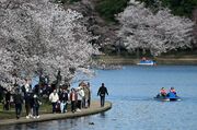 Warm, bright Sunday brought D.C. its fifth 70-degree day in six