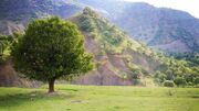 روستای زیبای چم سنگر دورود+فیلم