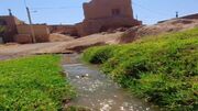 گشت و گذار در روستای شوراب علیا + فیلم