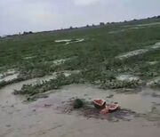 ورود سیلاب به مزارع کشاورزی جاسک +تصاویر