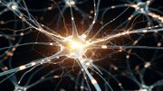 ۱۰ کشف شگفت‌انگیز درباره مغز در سال ۲۰۲۵