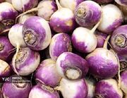 شلغم بیضا راهی بازارهای داخلی و کشورهای حوزه خلیج فارس می‌شود/ از تقویت ایمنی تا درمان سرماخوردگی