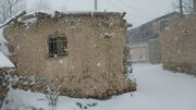 روستای آرا در چهاردانگه ساری با بارش برف رنگ و بوی زمستانی گرفت + عکس و فیلم