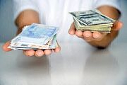 نرخ انواع ارز در ۱۲ خرداد در مرکز مبادله ایران مشخص شد+ جزئیات